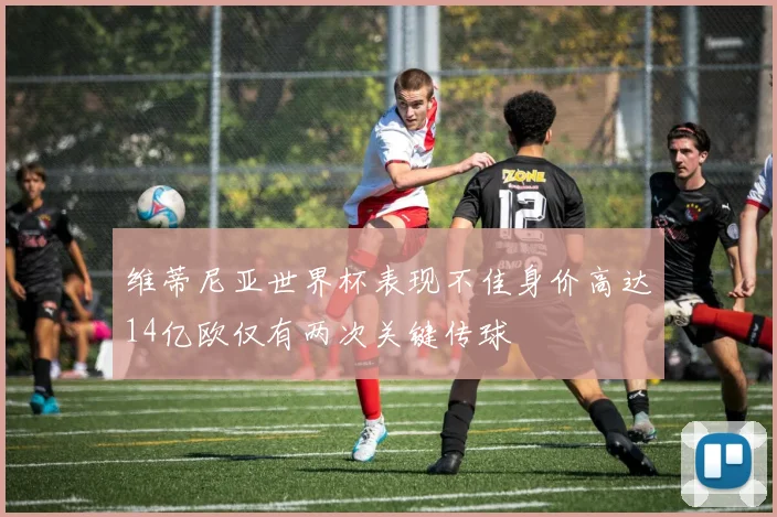维蒂尼亚世界杯表现不佳身价高达14亿欧仅有两次关键传球