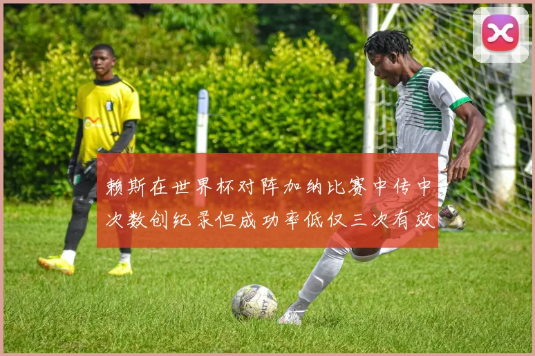 赖斯在世界杯对阵加纳比赛中传中次数创纪录但成功率低仅三次有效